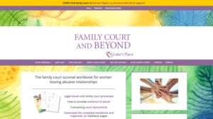 Family Court and Beyond website homepage